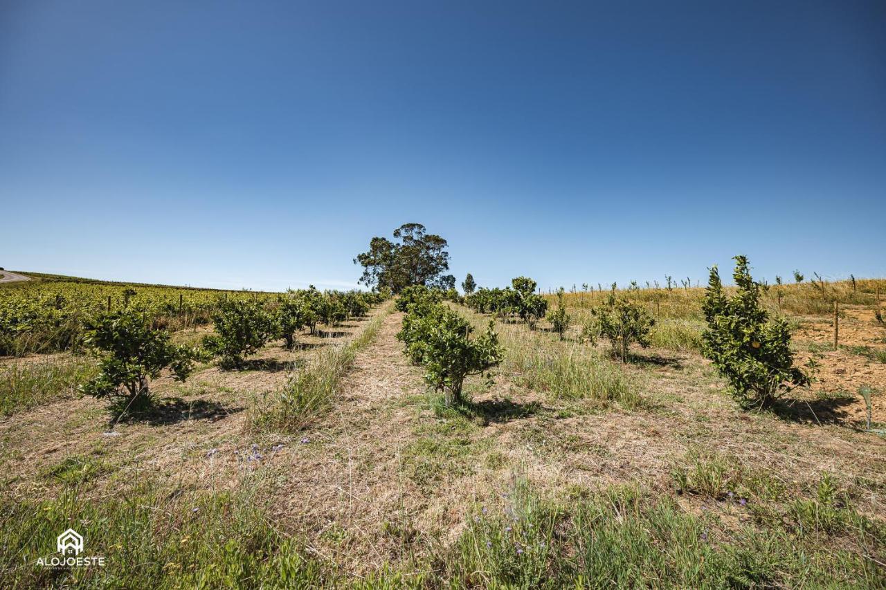 Quinta Da Estima Villa Dous Portos Esterno foto